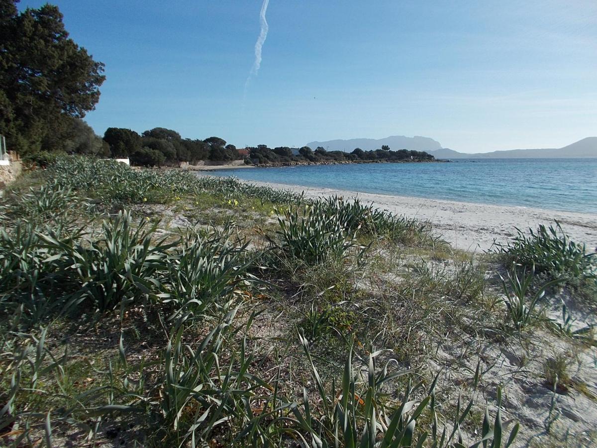 Magibac Due - Casa Vicino Aeroporto E Mater Olbia Lejlighed Eksteriør billede